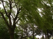 DSC08032.JPG